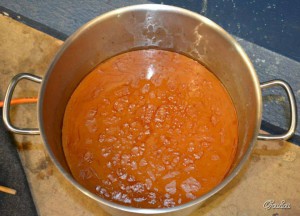 Niscalos (lactarios deliciosos)